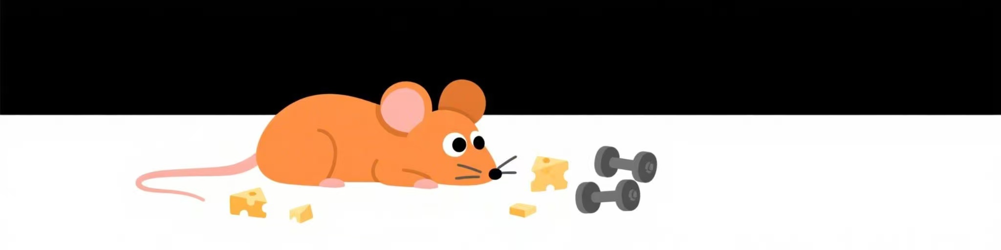 基于 QT-Android 的计划/健身/学习类软件--MousePlan